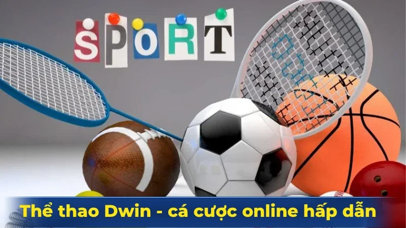 Cá cược thể thao Dwin - Trò chơi hấp dẫn bậc nhất hiện nay Cá cược thể thao Dwin - Trò chơi hấp dẫn bậc nhất hiện nay
